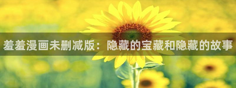 age漫画网：羞羞漫画未删减版：隐藏的宝藏和隐藏的故事