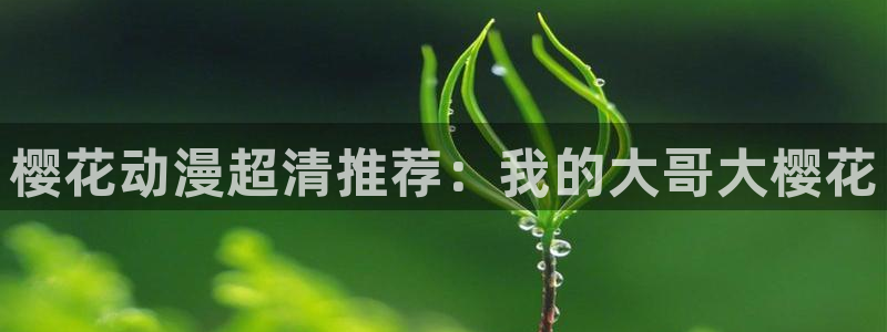 动漫天堂下载入口：樱花动漫超清推荐：我的大哥大樱花