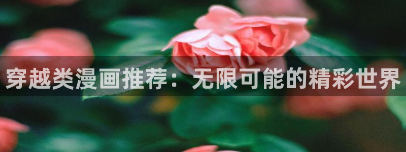 动漫天堂官网网址：穿越类漫画推荐：无限可能的精彩世界