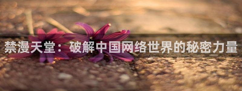动漫天堂下载：禁漫天堂：破解中国网络世界的秘密力量