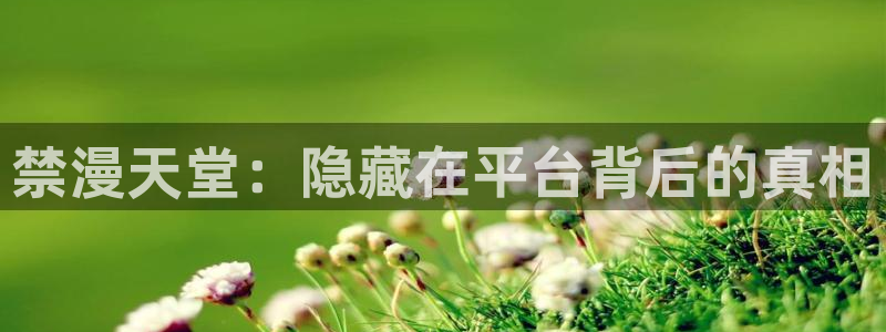managereader漫画官网入口：禁漫天堂：隐藏在平台背后的真相