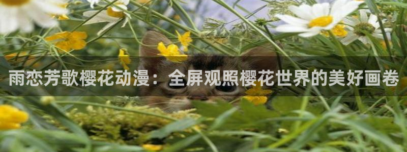 colomanage漫画官网：雨恋芳歌樱花动漫：全屏观照樱花世界的美好画卷