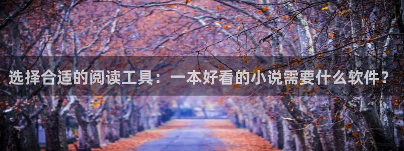 stagenehind韩漫免费观看：选择合适的阅读工具：一本好看的小说需要什么软件？