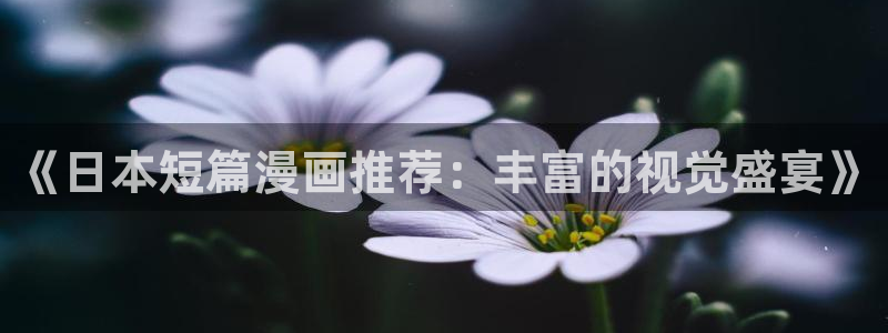 动漫天堂网：《日本短篇漫画推荐：丰富的视觉盛宴》