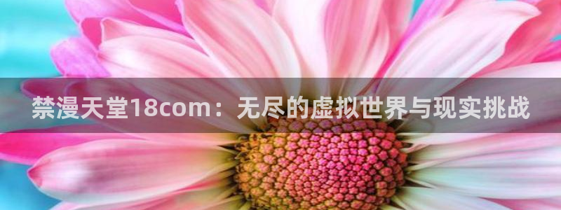 动漫天堂：禁漫天堂18com：无尽的虚拟世界与现实挑战