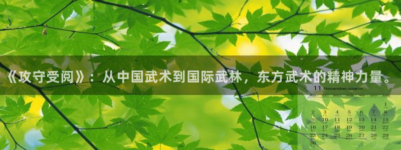 volcanicage漫画：《攻守受阅》：从中国武术到国际武林，东方武术的精神力量。