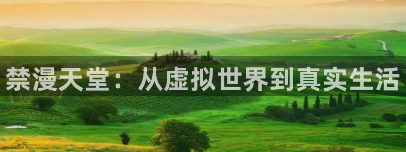 age专注动漫的门户网站：禁漫天堂：从虚拟世界到真实生活