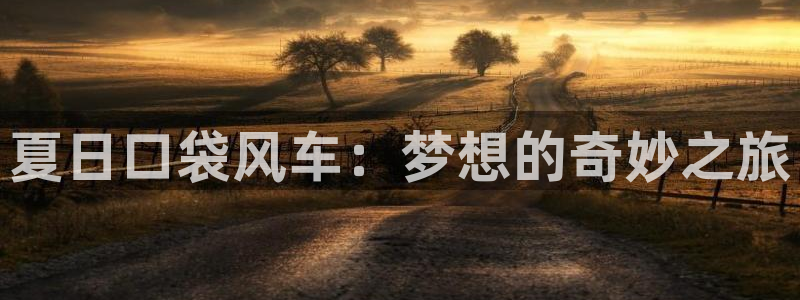 下载动漫天堂：夏日口袋风车：梦想的奇妙之旅