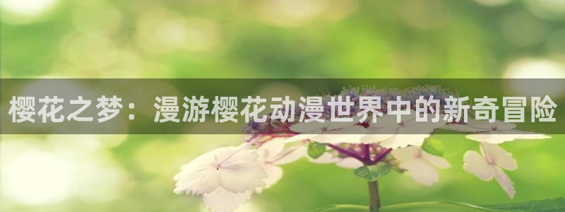 age樱花动漫：樱花之梦：漫游樱花动漫世界中的新奇冒险