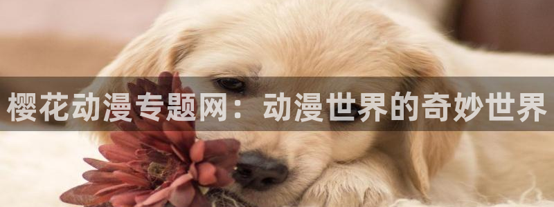colamanage漫画：樱花动漫专题网：动漫世界的奇妙世界