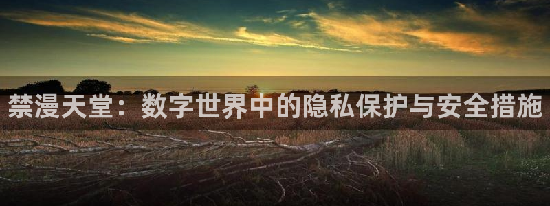 动漫天堂官网入口老版本：禁漫天堂：数字世界中的隐私保护与安全措施