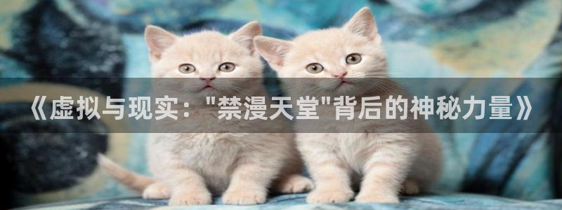 动漫天堂官网入口老版本：《虚拟与现实：\