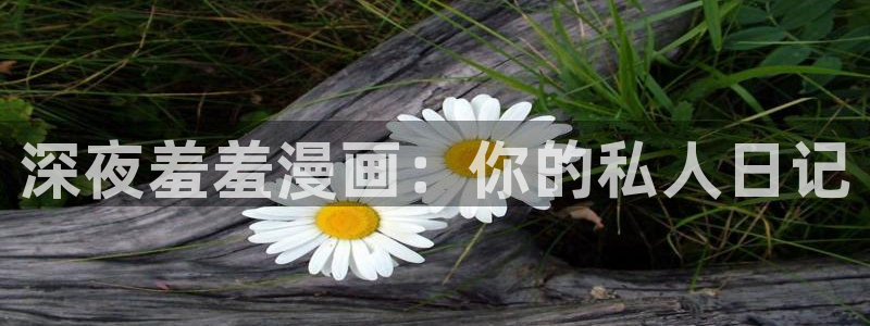 拷贝漫画 copymanager.ory网站：深夜羞羞漫画：你的私人日记