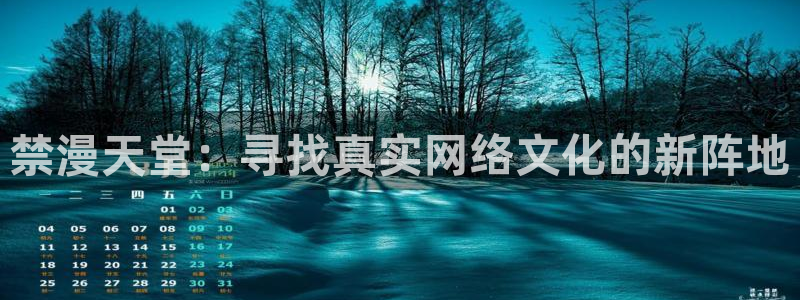 动漫天堂：禁漫天堂：寻找真实网络文化的新阵地