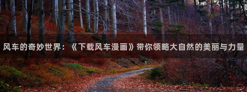 下载动漫天堂：风车的奇妙世界：《下载风车漫画》带你领略大自然的美丽与力量