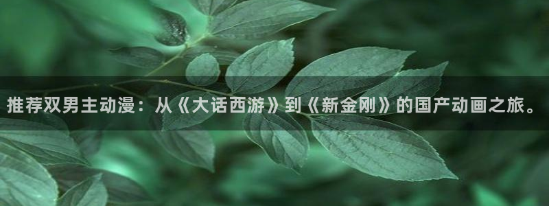 动漫天堂下载动漫全免费：推荐双男主动漫：从《大话西游》到《新金刚》的国产动画之旅。