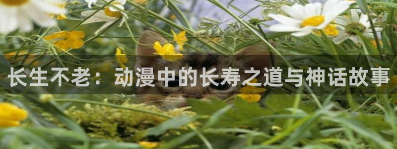 colamanage漫画：长生不老：动漫中的长寿之道与神话故事