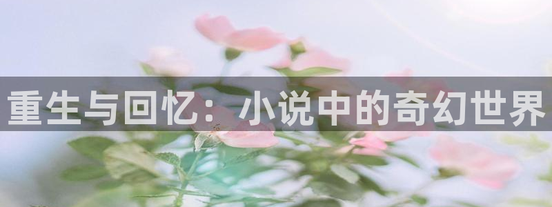 动漫天堂omofun：重生与回忆：小说中的奇幻世界