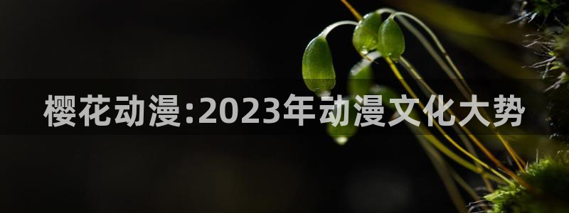 动漫天堂樱花：樱花动漫:2023年动漫文化大势