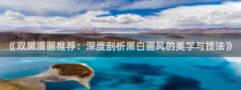 动漫天堂网下载：《双黑漫画推荐：深度剖析黑白画风的美学与技法》